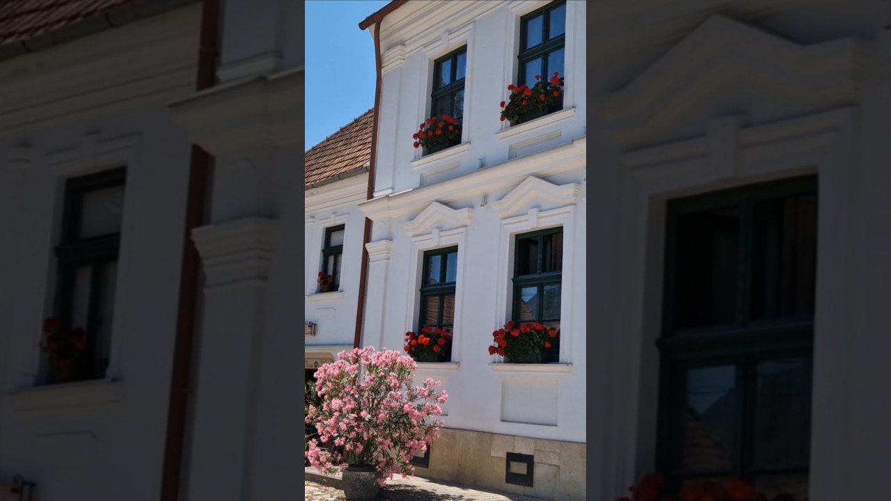 Sat Rimetea, premiul Europa Noastră. #travel #romania  #rimetea #pace #liniște #armonie #shorts
