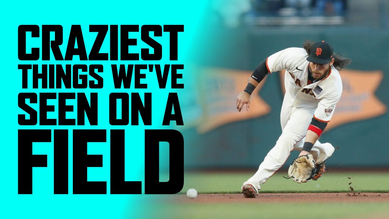 The CRAZIEST Things We've Seen On A Baseball Field YouTube