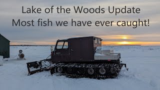 Lake of the Woods Ice Fishing Update:  Ton of fish last weekend at Dale&#39;s