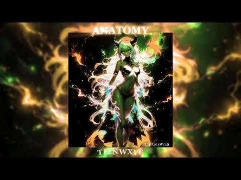 𝑻𝑬𝑬𝑵𝑾𝑿𝑽𝑬 𝑨𝑵𝑨𝑻𝑶𝑴𝒀 𝑼𝑳𝑻𝑹𝑨 𝑺𝑳𝑶𝑾𝑬𝑫