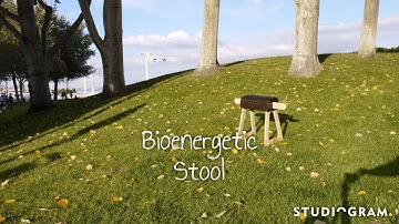 Studiogram Bioenergetic Stool