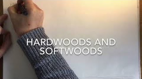 Hardwoods & Softwoods