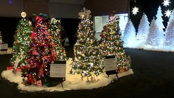 A sneak peak at this year