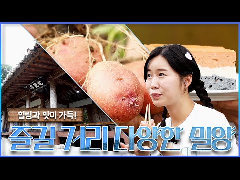 해맑은 <strong>밀양</strong> 여행 | 두근두근 경남 (KBS 2024.07.09 화 <strong>방송</strong>)