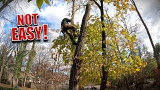 Attempting To Remove A WIDOWMAKER Tree | Difficult Removal