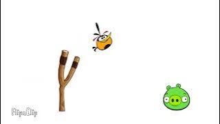 Angry birds