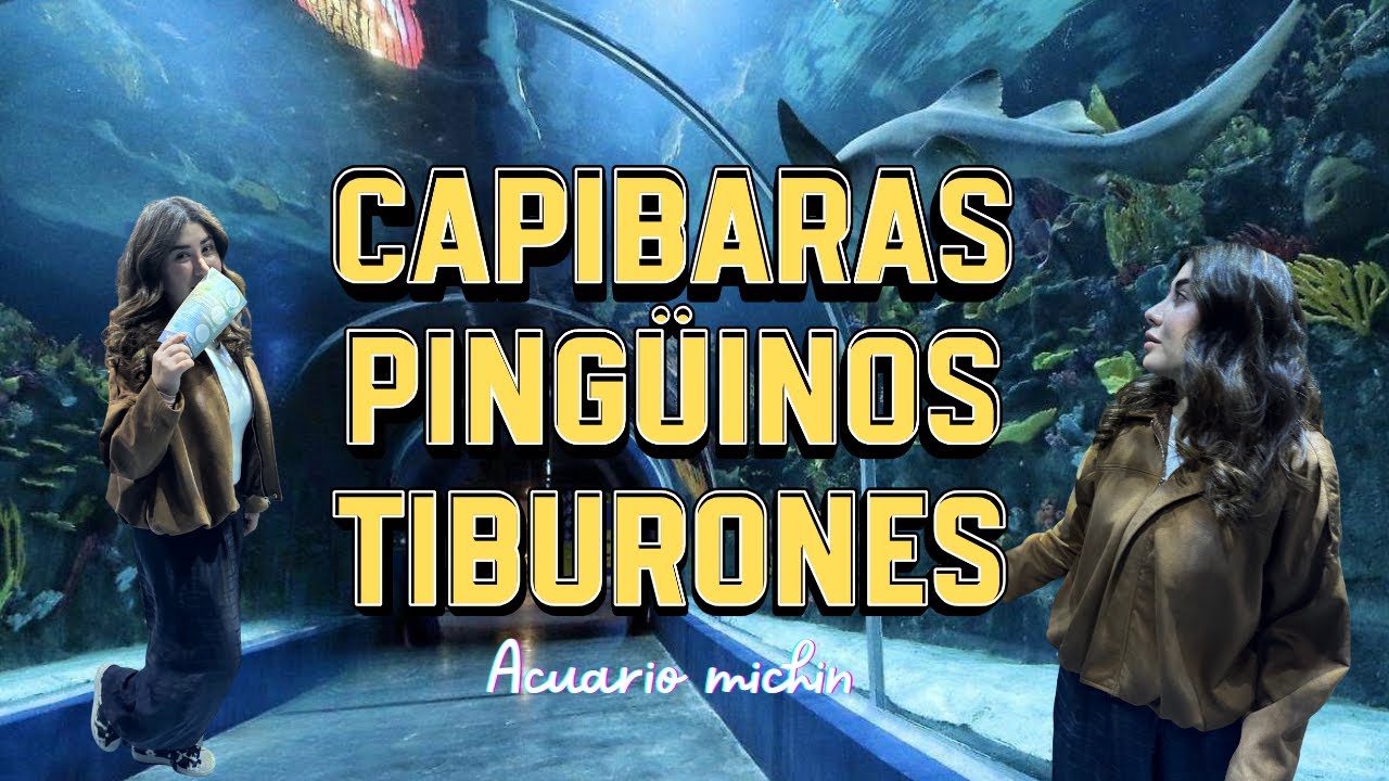 Fui al Acuario Michin y NO estaba preparada para esto 🐧🦈😱