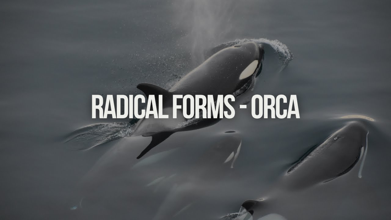 Radical Forms - Orca [BASS] - YouTube