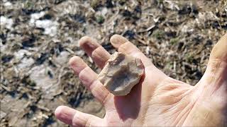 arrowhead hunting  3/23/2019