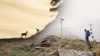 Overnight hammock hiking trip in the Swiss mountains by MrOutdoorAdventure 281 views 1 year ago 17 minutes