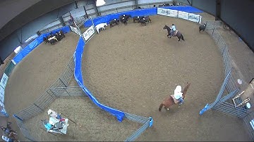 Big Sky Ranch Sorting Saddle Series #4 - #8 HC RANCH HAND (2 CAP SORTER) - Round #1 - Ride #32
