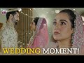 Lovely Couple Sarah Khan Danish Taimoor Best Moments Lovely Couple Sarah Khan Danish Taimoor Best Moments