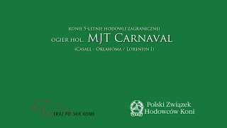 Ogier MJT CARNAVAL hol.
