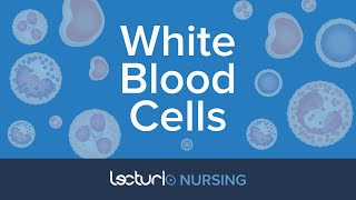 White Blood Cells: The 5 WBC Types, Reference Ranges, & Functions | Pathophysiology | NCLEX Prep