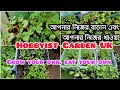 Hobbyist garden uk 2024 seedlings update in the greenhouse  grow your own and eat your own