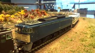 特急「そよかぜ」(5)HO TOMIX・天賞堂 EF63 重連＋カツミ・宮沢 185系200番台＠デゴイチ