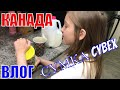 КАНАДА ВЛОГ | Готовим завтрак с Ульяной/ Получили сумку и дождевик Cybex к коляске