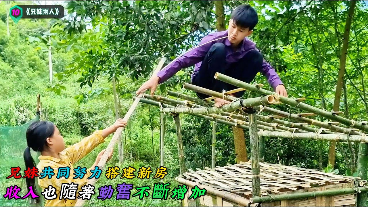 兄妹共同努力搭建新房，收入也隨著勤奮不斷增加《兄妹兩人》10