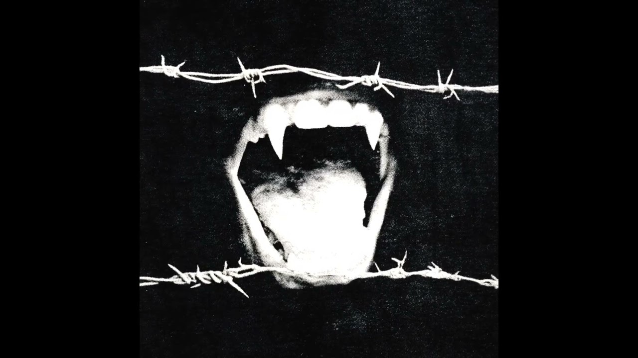 [FREE] Maneskin x Alt Rock Type Beat - “Razor Teeth”