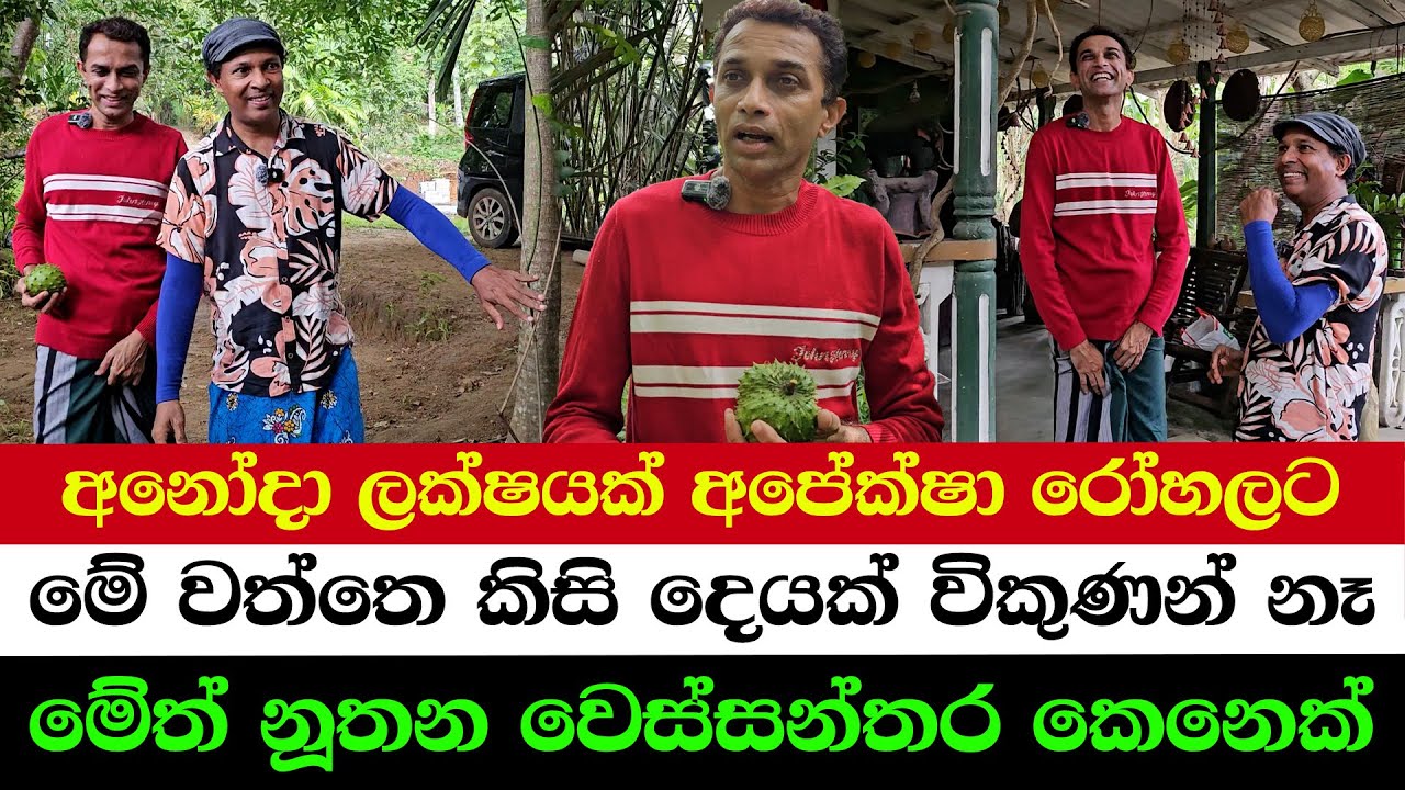 A Kind Man Donates 100,000 Anoda Fruits to a Cancer Hospital