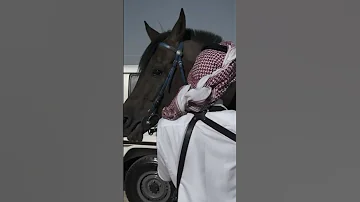 حالات واتس اب شيله انسه وانسه ذكراه ستوريات انستا شيلات حزينه فراق حالات واتس اب شيلات حزينه 