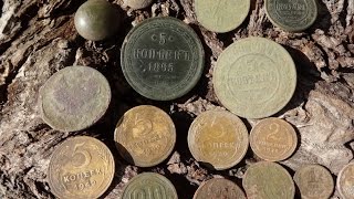 Лесные монетки. Советские и царские пятаки.