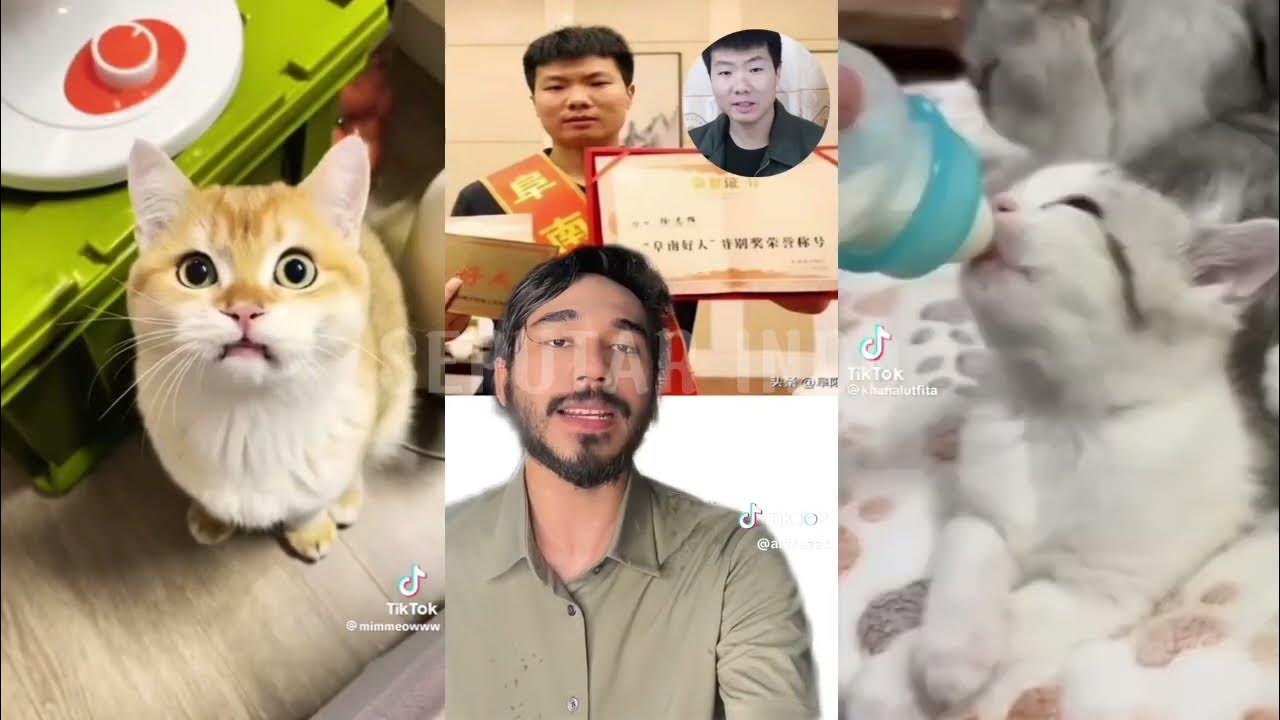 Kucing Di Blender Akhirnya Xu Zhihui Buka Suara Soal Kucing Blender yang Viral || kucing