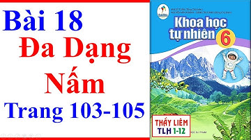 Khoa Học Tự Nhiên Lớp 6 Bài 18 | Đa Dạng Nấm | Trang 103 - 105 | Cánh Diều