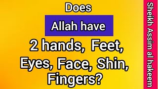 Does Allah have two hands, feet, shin, face, eyes, fingers? - Assim al hakeem