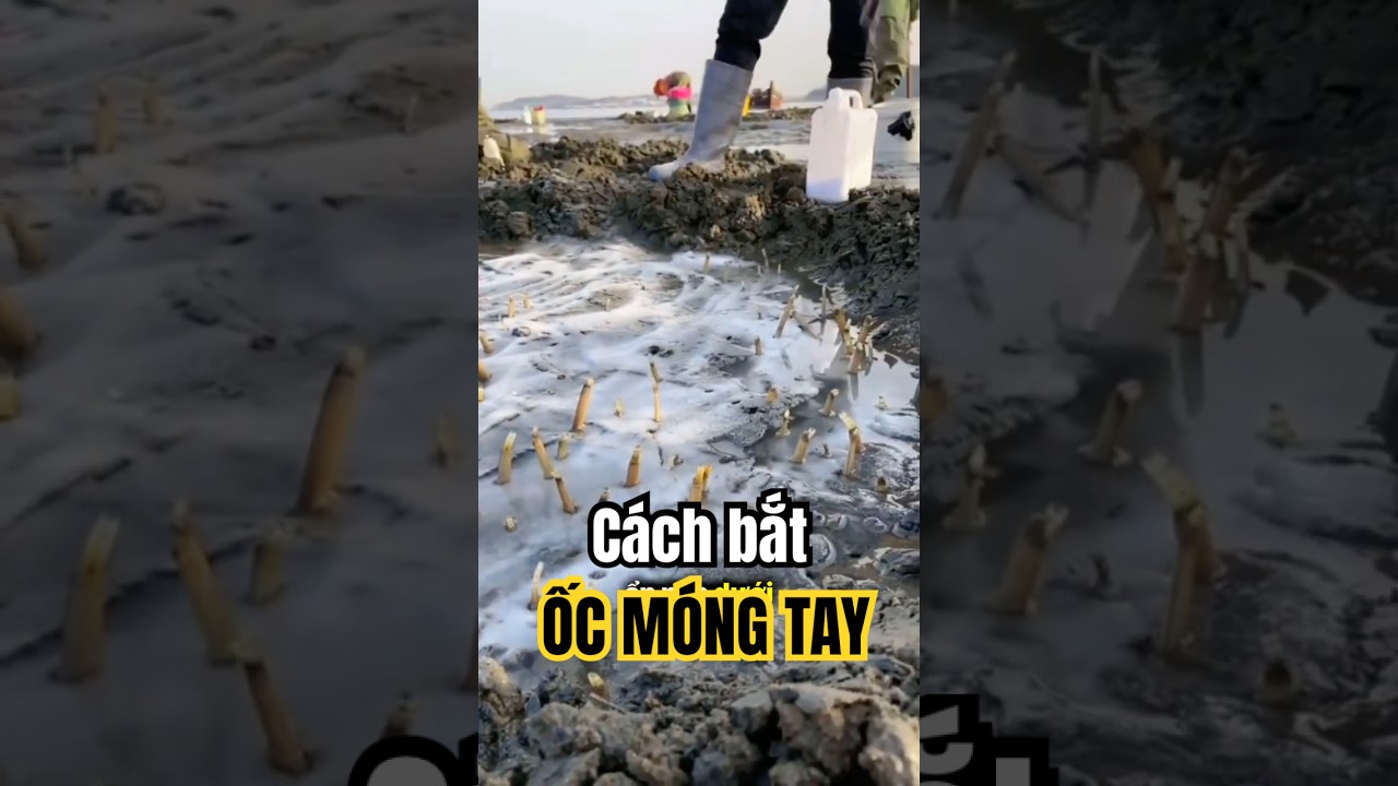 Cách bắt ốc móng tay
