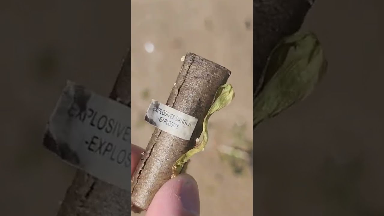 I FOUND A DEAD BODY AT THE BEACH 