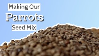 Making Our Parrots Seed Mix || A Parrots Diet by Soaring Wings Flock 2,188 views 4 years ago 4 minutes, 58 seconds