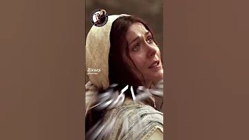 يابختك يلى بتتشفع بأم النور 