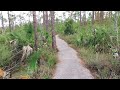 A Visit to Everglades National Park, Part 3, &quot;Diverse Nature Hikes&quot;