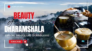 Kangra Tea Gardens : A Hidden Gem in the Himalayas ! ( GI Tag wali Chai ) Dharamshala Special Vlog
