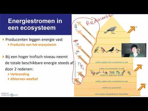 H5 | Hoofdpunt D - pioniers en climaxecosysteem | Ecologie + Mens & Milieu