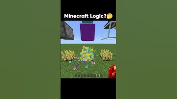 Minecraft Logic?🤔#shorts#seher