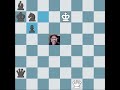 Beautiful Queen Sacrifice #chess #brilliant #checkmate