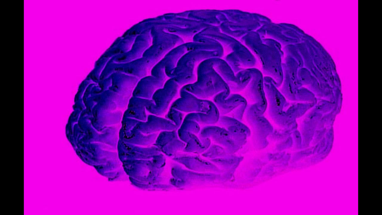 Ray Comfort's Adolescent Brain