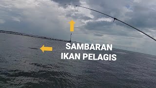 Mencari Keberuntungan Di Laut Mancing Di Jongor Merah Pelabuhan Cirebon