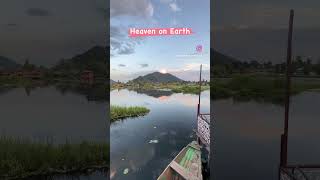 Srinagar Kashmir holiday trip ??#shortvideo #kashmir #srinagar