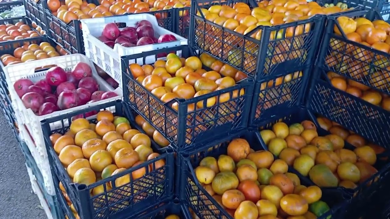 Her Telden Malatya - Hal Pazarı 2. Bölüm