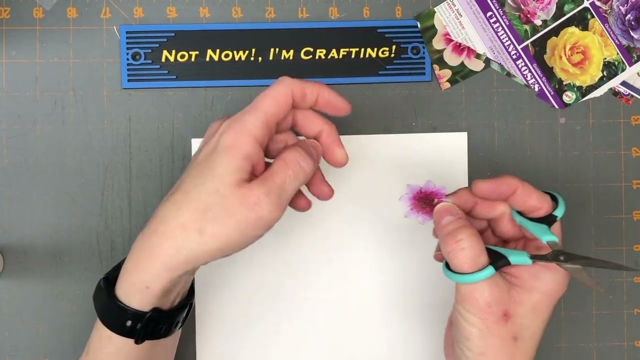 1 февраля 2026 г. - Вернулся после перерыва в видеосъемке.