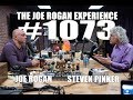 Joe Rogan Experience #1073 - Steven Pinker