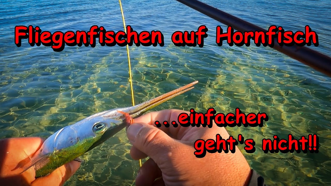 Fliegenfischen in MV - So fische ich auf Hornfisch