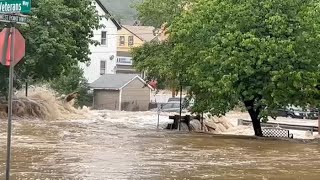 Woman killed trying to escape flooding with dog amid torrential rain