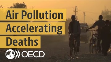 The heavy toll of air pollution
