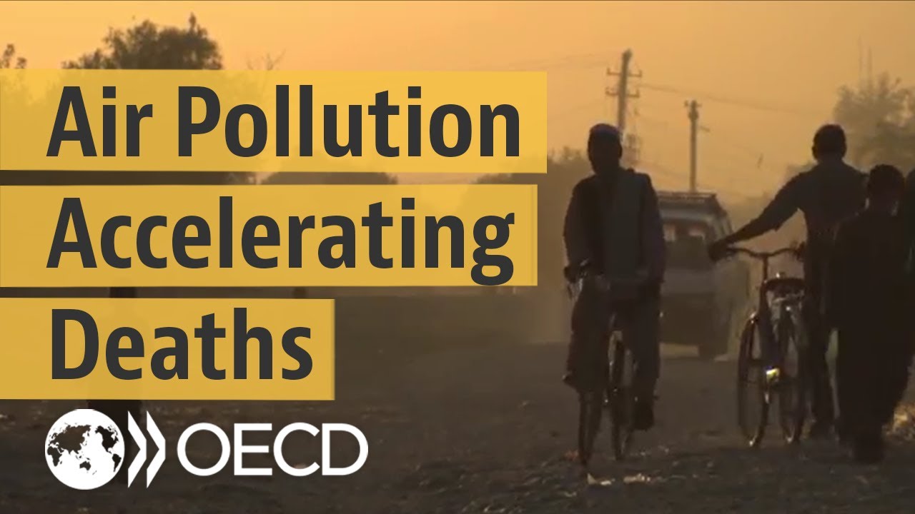 The heavy toll of air pollution