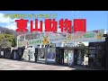 東山動物園完全ガイド~ゴリラシャバーニ、コアラ、遊園地、ナイトビューもあるよ。駐車場は少ないが地下鉄のアクセツ抜群~