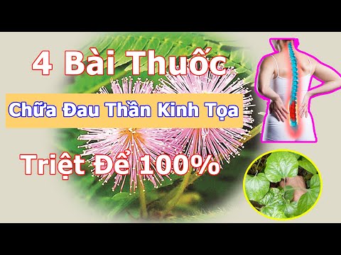 Video 4 Bài thuốc nam chữa trị đau thần kinh tọa triệt để... - youtube